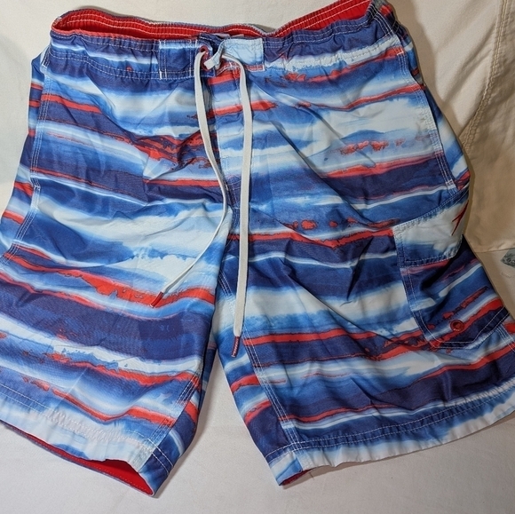 Speedo Men's Swim Trunks/Board Shorts - Picture 1 of 10